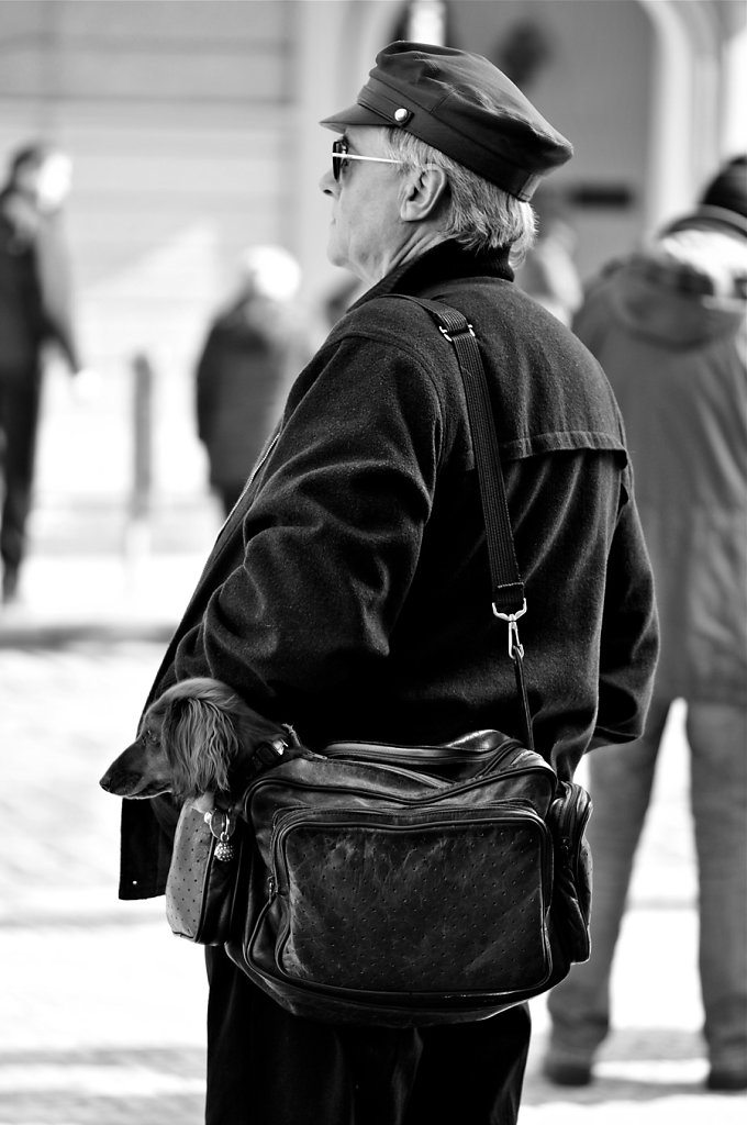 attente-tram-au-chien-DSC-9094-2-rd900.jpg